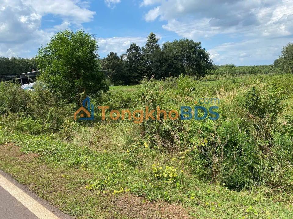 Đất Nền Bình Phước 1000m² Mặt Tiền DT757 - Kinh Doanh/Đầu Tư