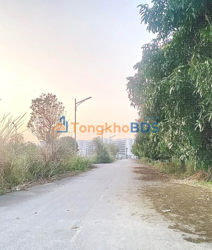 Bán đất 120m² Bạch Mai, Hà Nam - Sổ đỏ chính chủ, giá đầu tư