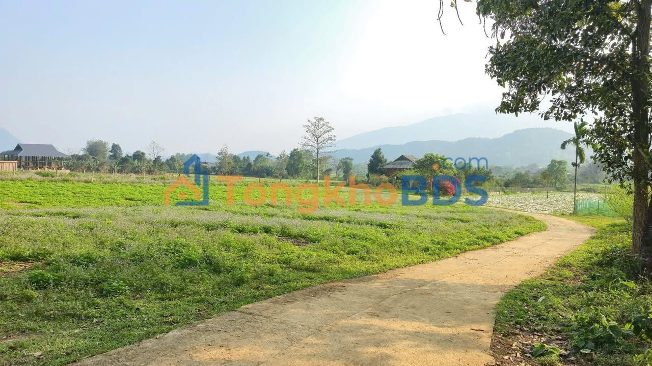 Đất Vườn Hà Giang 1020m² - Cơ hội đầu tư Homestay tại Phó Bảng