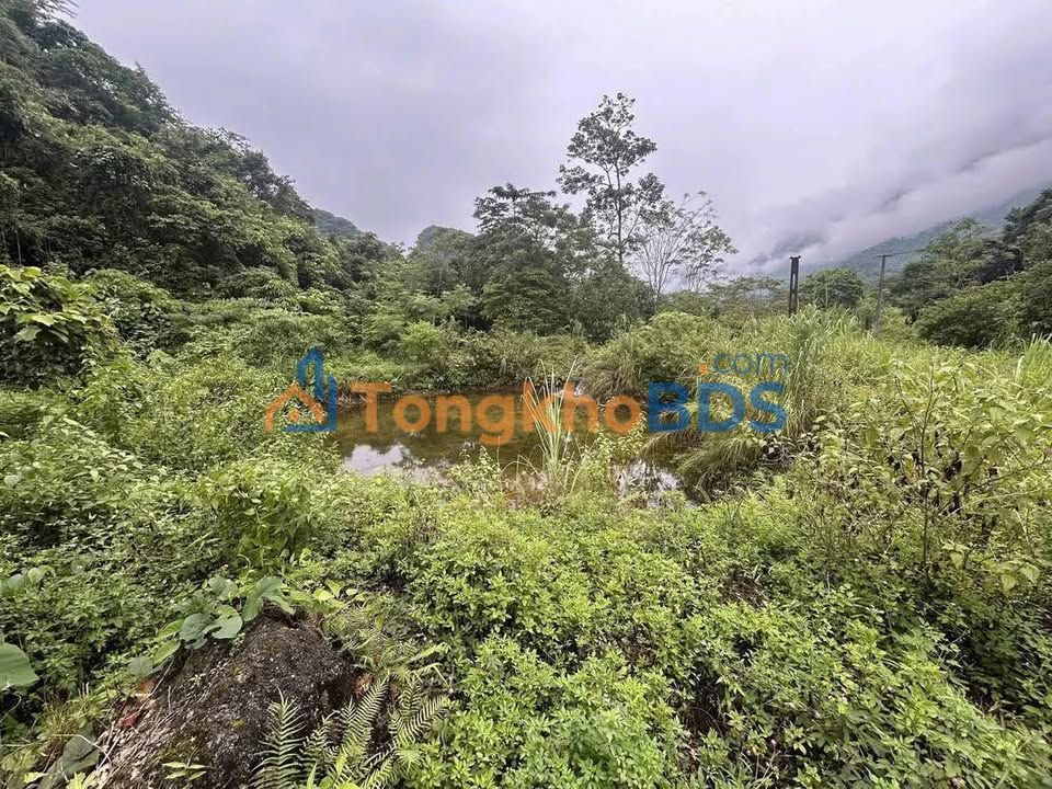 Đất Nền 1140m² Mặt Tiền Phong Quang, Hà Giang - Giá Tốt, Sẵn Sổ