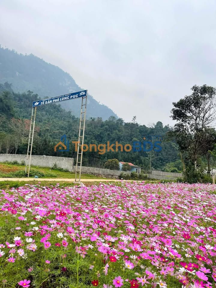 Đất Nền Lũng Pục, Đồng Văn - Mặt Tiền Rộng 10m, Giá Chỉ 260 Triệu