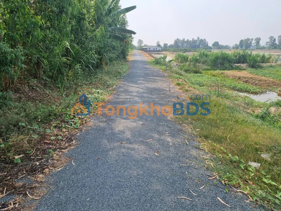 Bán Đất Nền 115m² Lộ Nhựa Tân Phú Trung, Đồng Tháp - Giá Tốt Đầu Tư