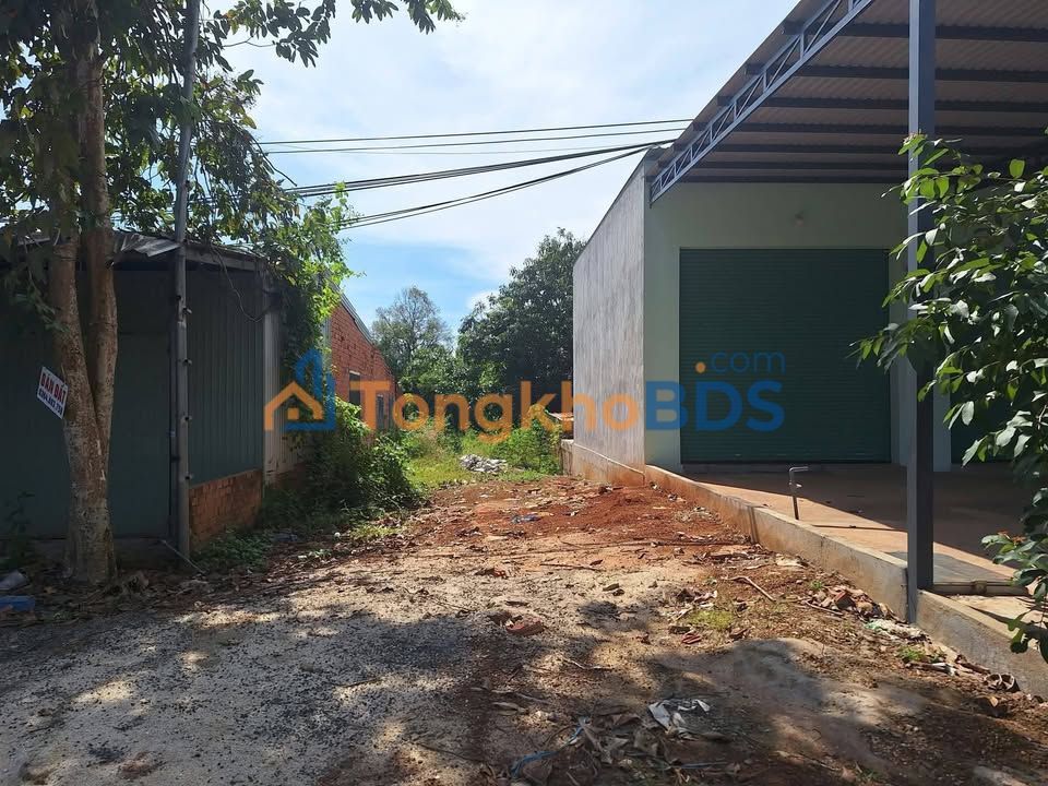 Đất Vàng Bù Đốp 1960m² - Kinh Doanh Sầm Uất, Sổ Hồng Sẵn Sàng