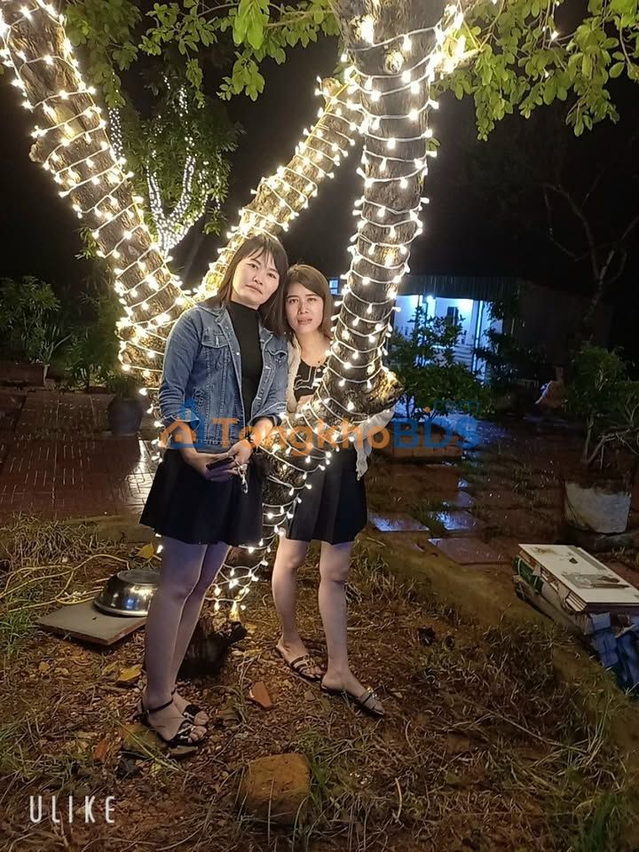 Đất nền Nam Thái, Nam Đàn 249m² Hướng Nam - Lô duy nhất giá tốt