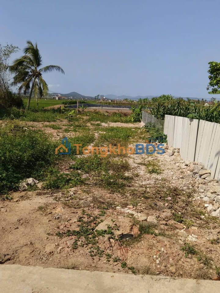 Đất nền Quỳnh Bảng - 239m² - Sổ đỏ sẵn sàng - Giá 1.2 tỷ