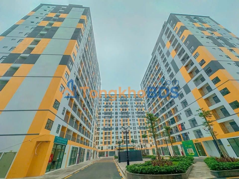 Bán Gấp Căn Hộ Evergreen Hải Phòng 24m² - Chỉ 500 Triệu