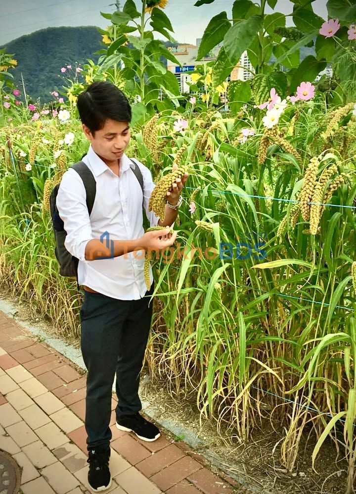 Đất nền Đồng Phúc, Bắc Giang 165m² - Sổ đỏ sẵn, giá chỉ 1.2 tỷ