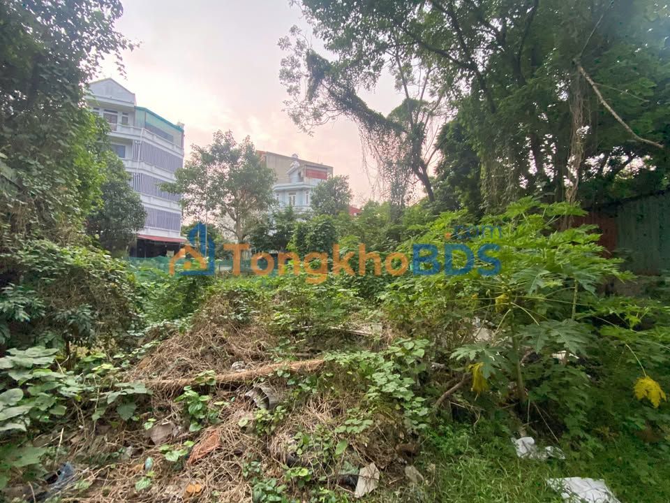 Đất nền Tam Hưng Thanh Oai 54m² giá 4 tỷ - Sổ đỏ sẵn sàng đầu tư