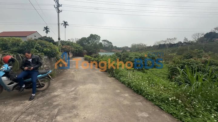 Đất Vườn Thổ Cư 6400m² Yên Thế, Bắc Giang - Sổ Đỏ Rõ Ràng, Giá Đầu Tư