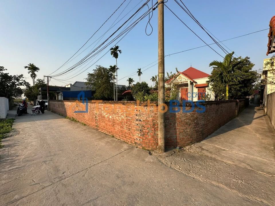 Đất nền 8000m² An Dương, Hải Phòng - Giá F0 chỉ hơn 10 triệu/m²