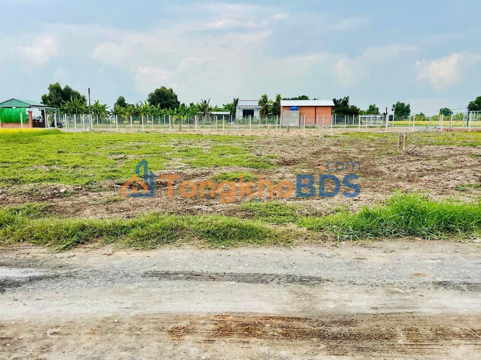 Bán Đất Thổ Cư 847m² Bình Chánh - Sổ Hồng Riêng, Giá 1.6 Tỷ