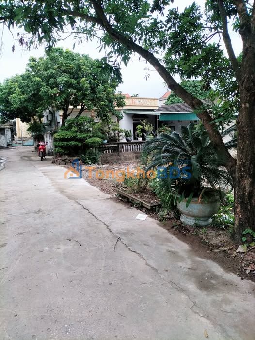 Bán Đất Khánh Hội, Yên Khánh 123m² - Sổ Đỏ Rõ Ràng, Ô Tô Tải Vào Tận Nơi