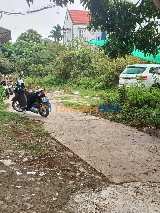 Bán đất Đông Dư, Gia Lâm 50m² - Sổ đỏ sẵn sàng, ô tô đỗ cửa