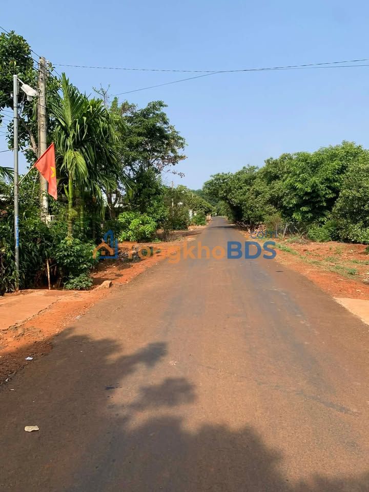 Đất Vườn 2.3ha Mặt Tiền 5m - Bù Đăng, Bình Phước - Giá Đầu Tư 5 Tỷ