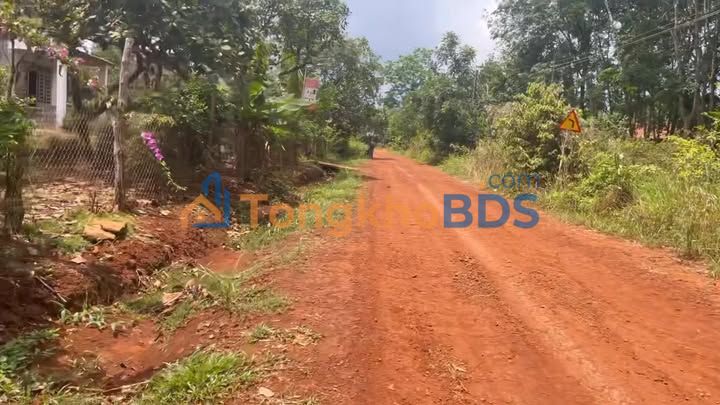 Đất Nền Thổ Cư Bù Đăng 500m² - Mặt Tiền Đường Lớn, Giá 12.5 Tỷ