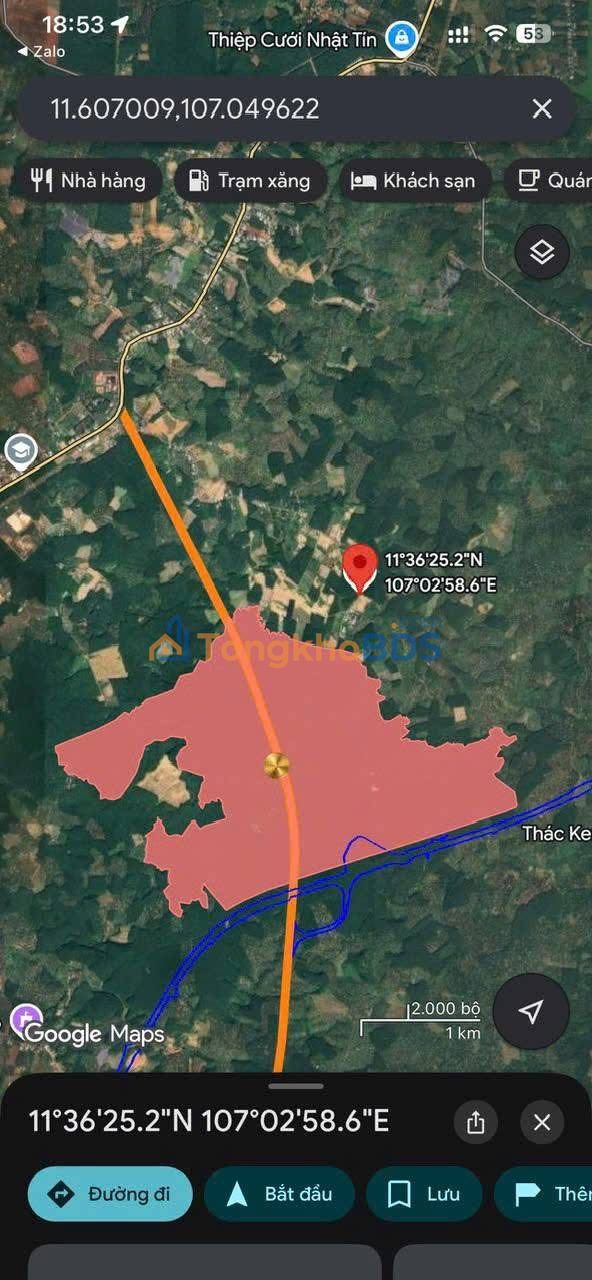 Đất Nền Đồng Phú 3600m² Giá 350 Triệu - Sổ Đỏ Sẵn Sàng