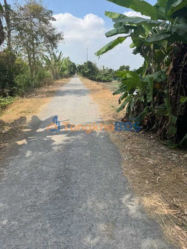 Đất nền Thanh Mỹ 9000m² giá 2.61 tỷ - Đường to ô tô