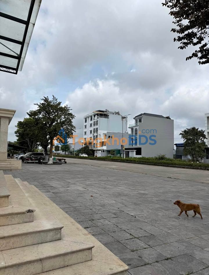 Đất nền Hạ Long 101m² - Mặt tiền đường đôi tiềm năng