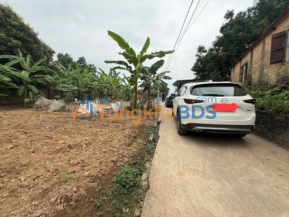 Bán Đất Hiệp Hòa Bắc Giang 122m² - Đường Ô Tô Tới Đất