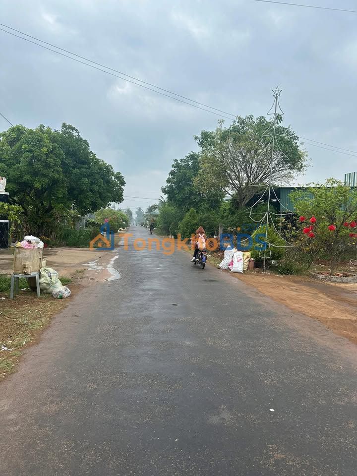 Đất Nam Chính, Bình Thuận 250m² - Sổ Đỏ TC60, Giá 425 Triệu