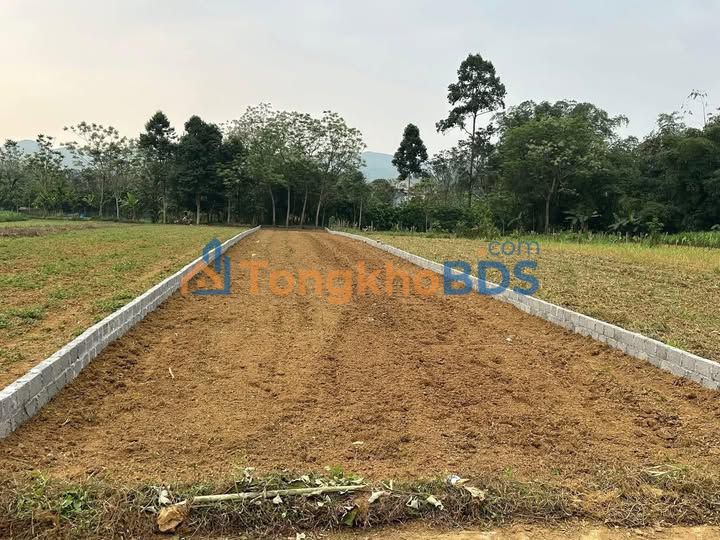 Bán Đất Vườn 650m² Tân Lạc, Hoà Bình - Sổ Hồng Sẵn Sàng