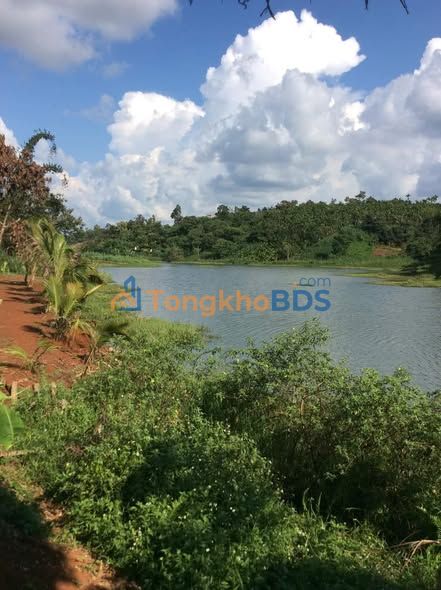 Bán Gấp Đất Farm View Hồ Đạt Lý - Đắk Lắk: 2500m² Sẵn Thu Hoạch, Giá 3 Tỷ
