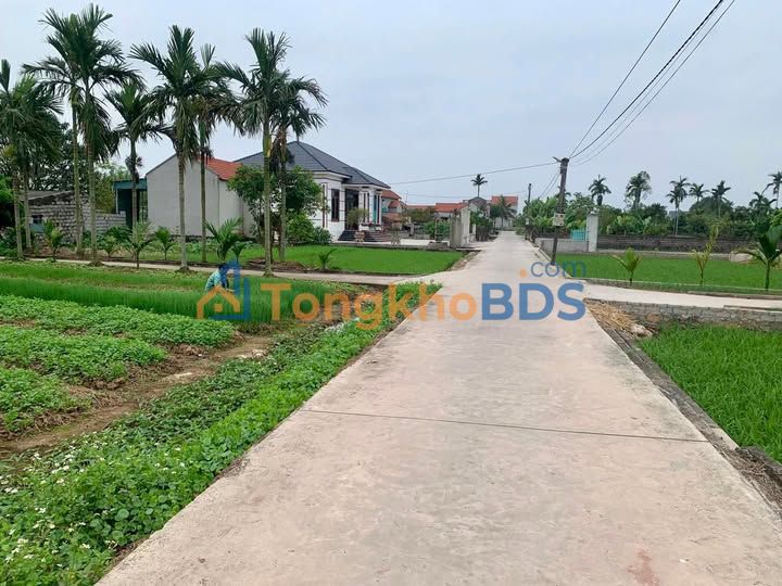 Đất nền Yên Mô, Ninh Bình - 125m² full thổ cư, giá chỉ từ 2xx triệu