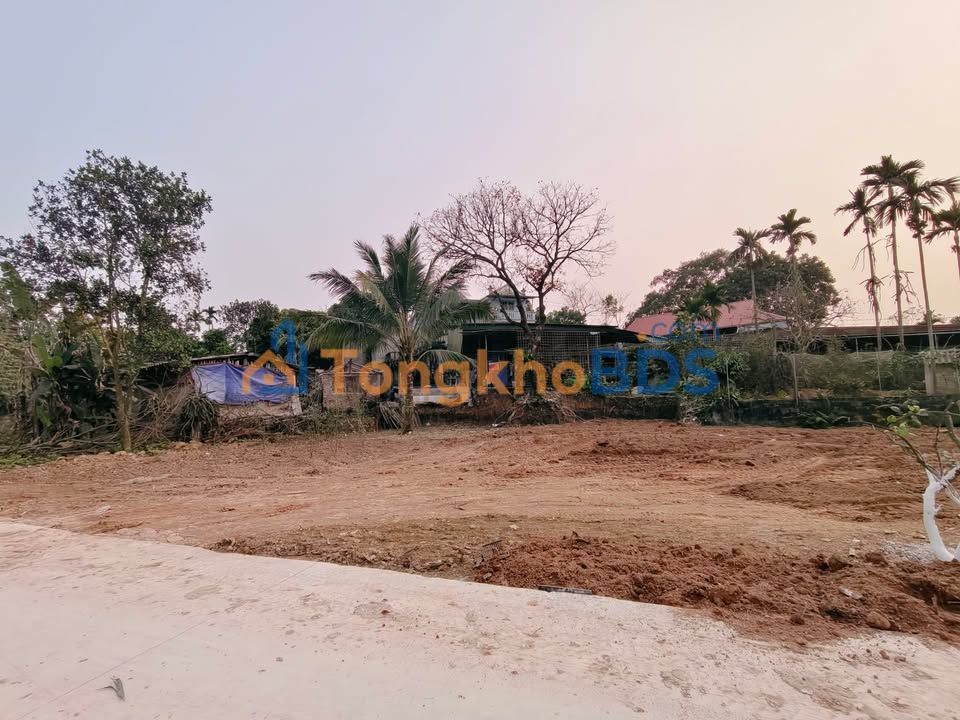 Đất Vĩnh Phúc 98.8m² Thổ Cư - Sẵn Sàng Xây Nhà