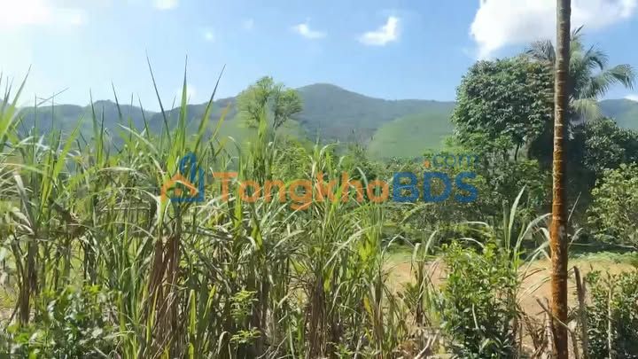 Đất Nền Huế 262m² - Sổ Hồng Sẵn, View Núi Đẹp, Đường Ô Tô