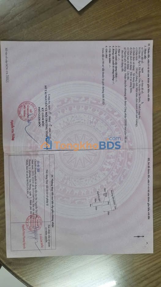 Đất Mặt Tiền Kinh Doanh Đường 835D, Cần Đước 192m² - Giá Tốt