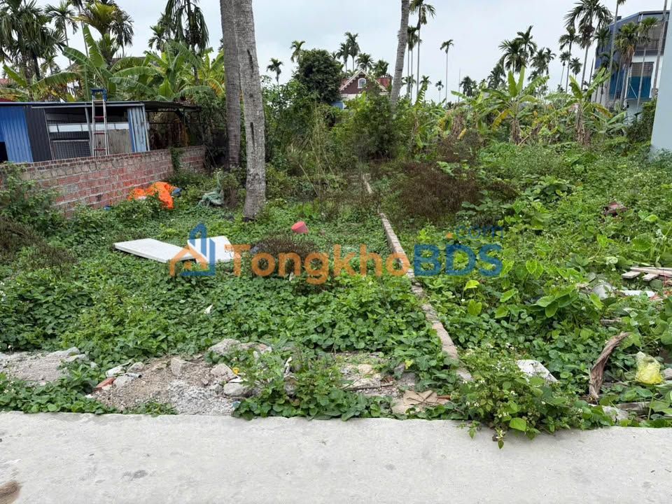 Bán đất Thủy Nguyên 81.5m² - Ngõ nông, giá 1.7 tỷ, sổ đỏ chính chủ