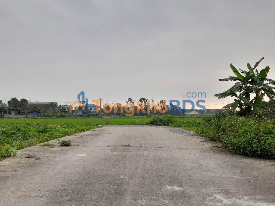 Đất nền Nghi Phong, Nghệ An - 165m² Sổ đỏ chính chủ, giá tốt 2.6 tỷ