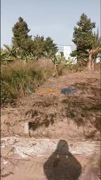 Đất nền Tân An 80m² giá 1.25 tỷ - Giá tốt hiếm có