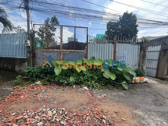 Đất nền 117m² Đình Phong Phú, TP. Thủ Đức - Sổ đỏ, 2 mặt tiền