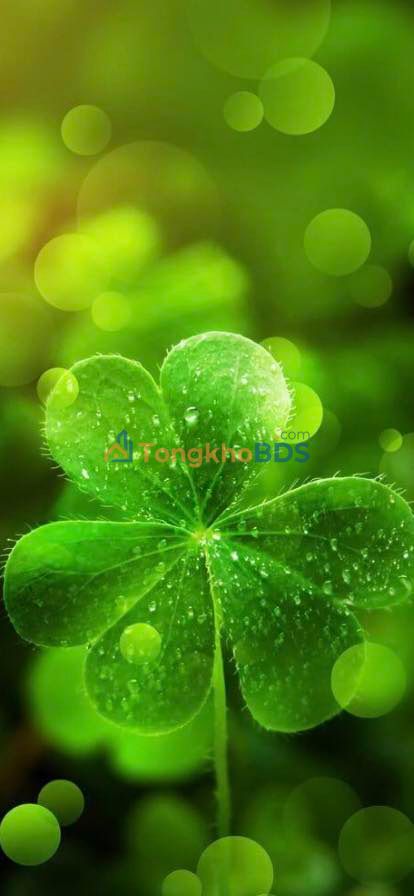 Đất Nền 125m² Xã Bình Hòa, Bình Sơn - Cơ Hội Đầu Tư Sinh Lời