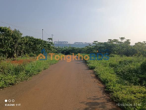 Đất Vườn 4800m² Mặt Tiền Nhựa, Gần Chợ Bảo Lâm - Giá Tốt 4.2 Tỷ