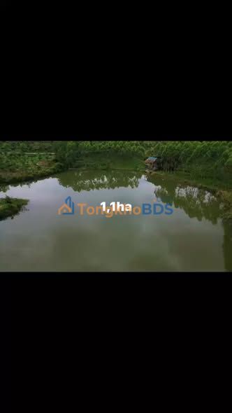 Đất Vườn 11.000m² Bắc Giang - Sổ Đỏ Rõ Ràng, Tiềm Năng Sinh Lời