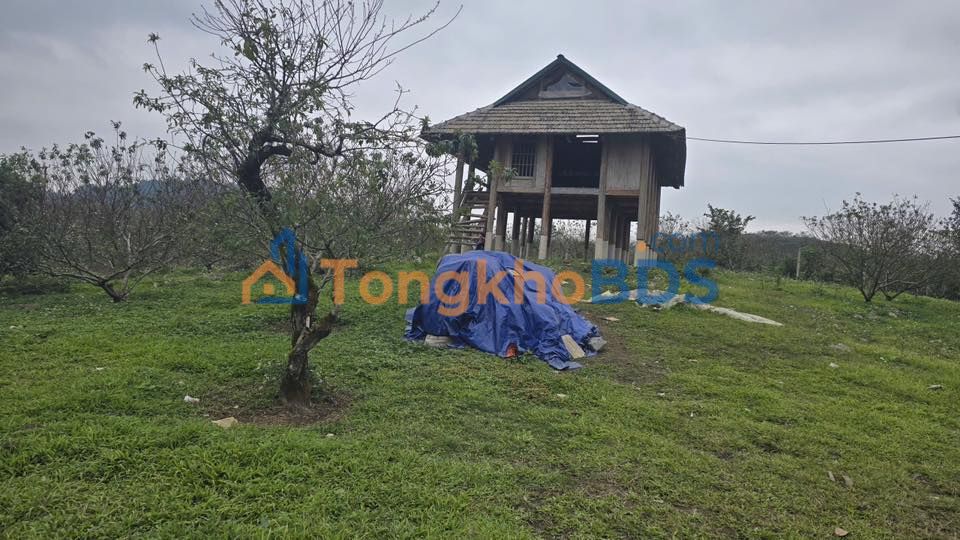 Bán đất Pa Khen 3400m² - Vị trí trung tâm du lịch, có nhà sàn sẵn