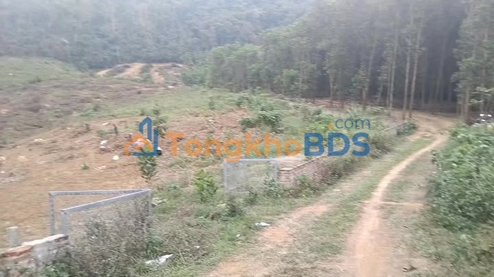 Đất nền Ba Vì 4800m² sổ hồng - Cơ hội đầu tư sinh lời