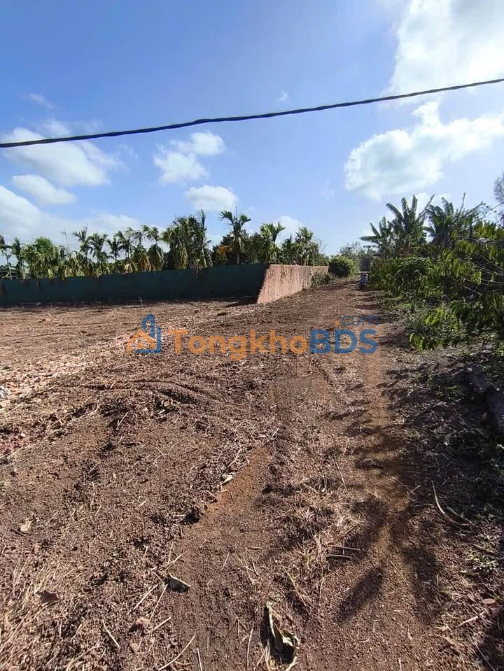 Đất nền Ea R'Bin, Đắk Lắk - 60m² thổ cư, giá chỉ 299 triệu