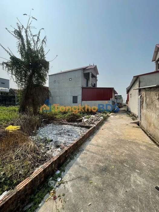 Đất nền Tam Đa Yên Phong 90m² 1.1 tỷ - Sổ đỏ chính chủ