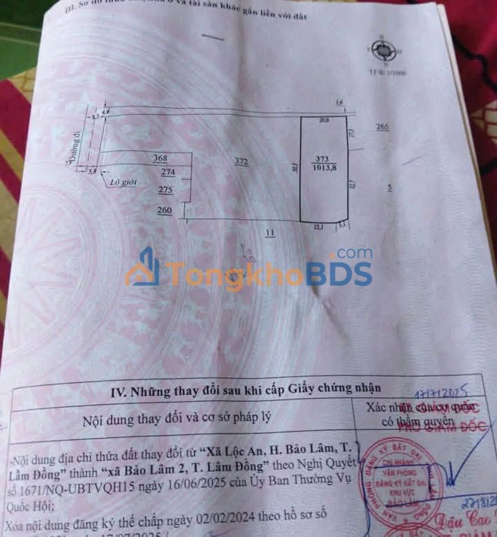 Đất nền đầu tư 1000m² Lộc An, Bảo Lâm - Sổ đỏ sẵn sàng giao dịch