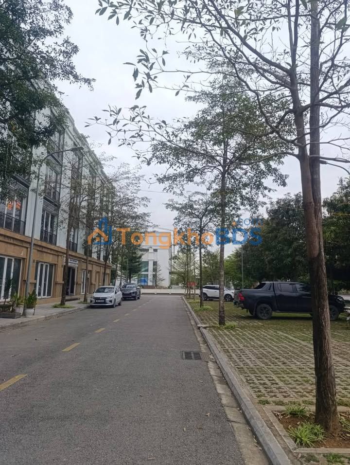 Bán Gấp Đất Vàng 84m² Mặt Tiền 5m Đường Đôi Hoa Châu, TP Thanh Hóa