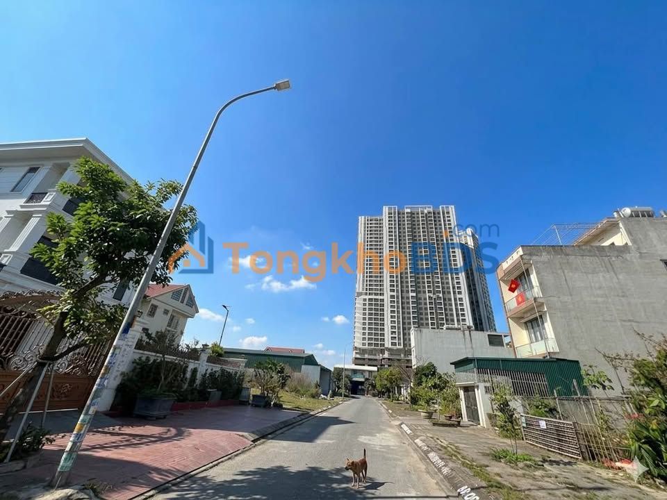 Đất Nền Cao Xanh Hà Khánh A 375m² - View Biển Trực Diện, Mặt Tiền Rộng