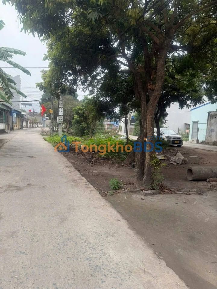 Đất Nền Mặt Tiền Đường Nhánh Phạm Ngũ Lão Kéo Dài, Nam Định - 80m²