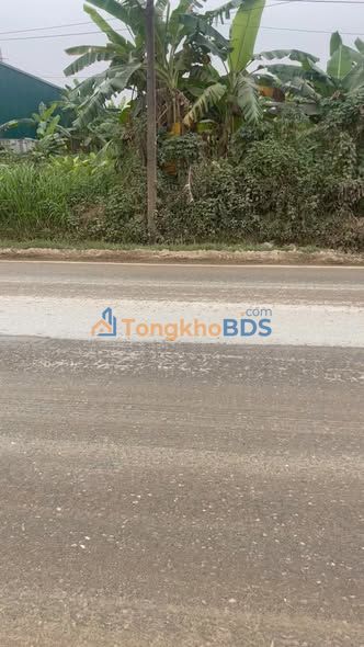 Đất thổ cư 110m² mặt tiền TL315, Phú Thọ - Sẵn sàng kinh doanh, đầu tư