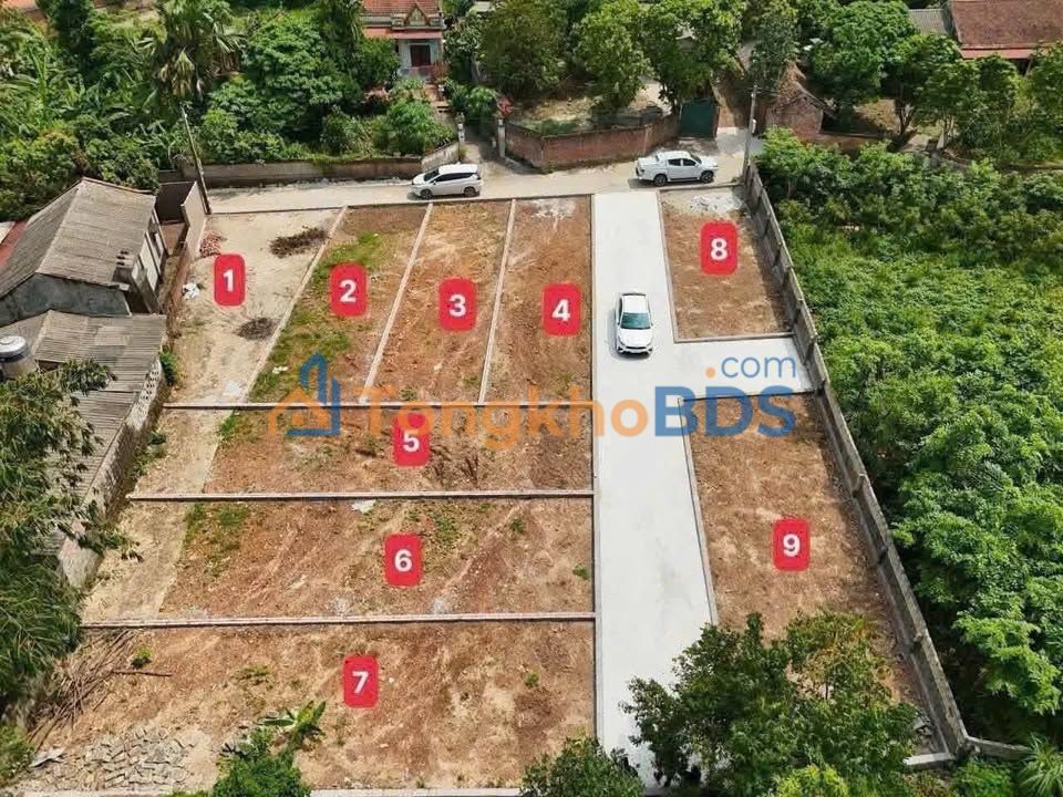 Bán Đất Ba Vì 116m² Sổ Đỏ CLN - Vị Trí Đẹp, Dân Cư Đông