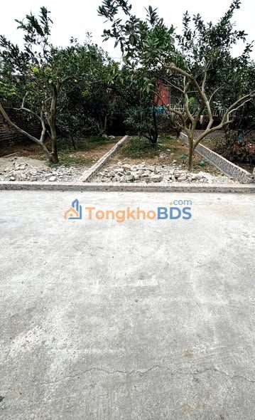 Đất Vàng Đan Phượng 42.1m² - Sổ Đỏ Rõ Ràng, Giá 3.25 Tỷ