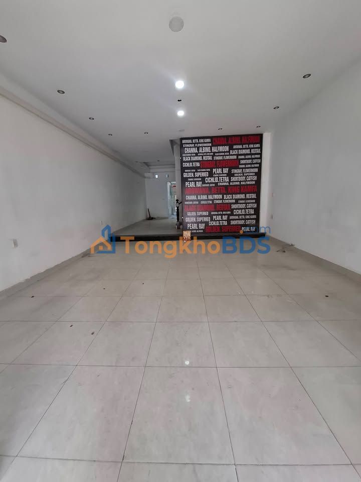 Nhà Mặt Tiền Kinh Doanh Khu Tên Lửa, Bình Tân - 126m² Giá 30 Triệu
