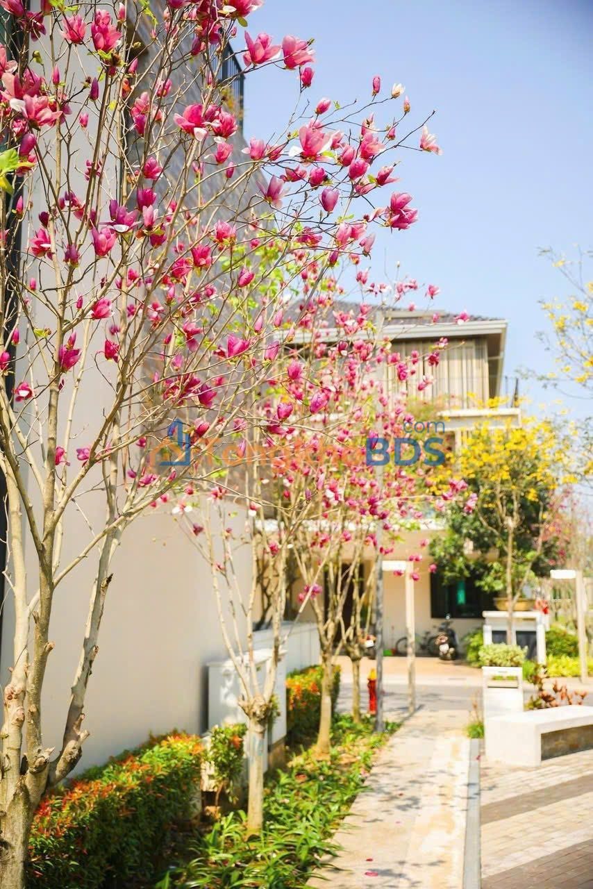 Biệt thự ParkCity Hà Đông 360m² 103 tỷ - Góc công viên